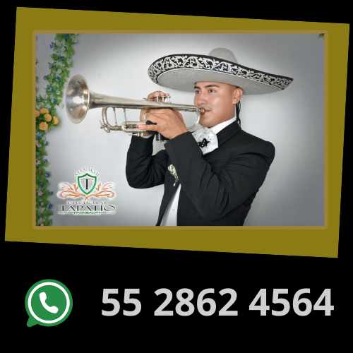 LOS MEJORES MARIACHIS DE CUAUTITLÁN MÉXICO Mariachis en Cuautitlán